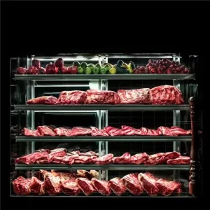 Hotel Refrigerated Equipment for Dry Aging Beef Meat