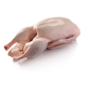 IQF Frozen Duck Halal Certified Poultry Pattern Poland Top Grade
