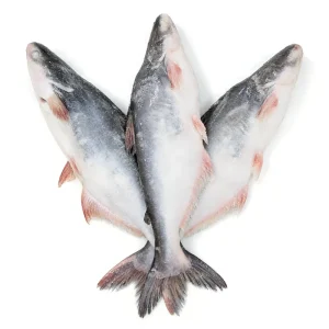 IQF Frozen Pangasius Basa Fish 600-1000g Poisson Pangasius Bulk Supplier China
