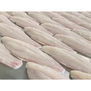 IQF Frozen Skinless Boneless Pangasius Fillet 170-220g 10x1kg Bulk Seafood Supplier