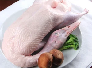 IQF Whole Duck Frozen and Ready for Flavorful Dishes