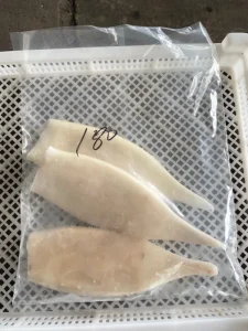 Illex Squid Tube 180g