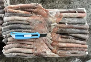 Illex Squid Tube U7
