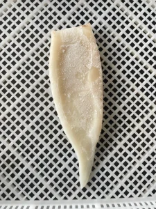 Indian Squid Tube 100g