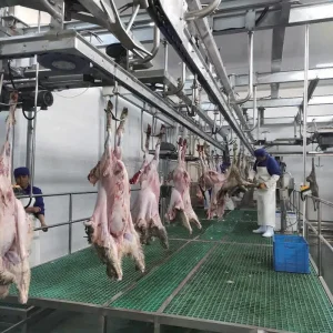 Industrial Sheep Cattle Slaughter Line Machine Motor Stainless Steel 304 Fully Automatic High Output Meat Processing Equipment