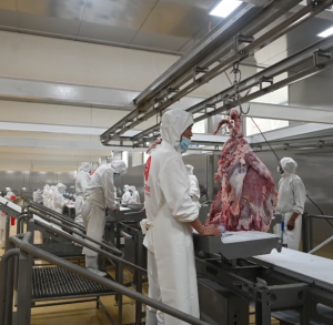 Industrial Smart Control Data Tracking Productivity Analysis Automated Processing Intelligent Cutting Line