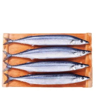 Large Size Fresh Fish Frozen Whole Peixe Sanma Fish Frozen Saury Mackerel Fish