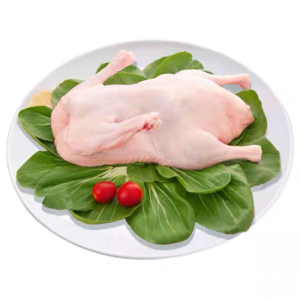Large Supply and Affordable Price Frozen Duck Suits