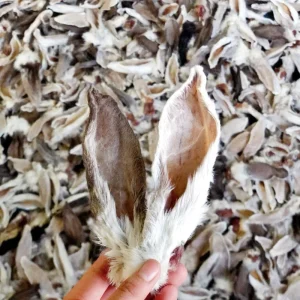 Low-Fat Rabbit Ear Chews for Healthy Dogs