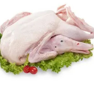 Low Price Frozen Whole Duck