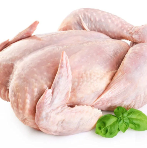 Low Price Frozen Whole Hen Chicken for Sale