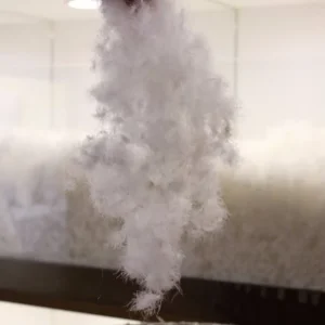 Machine Washable White Pure Sticky Down Duck and Goose Feather Prices Duck Feather
