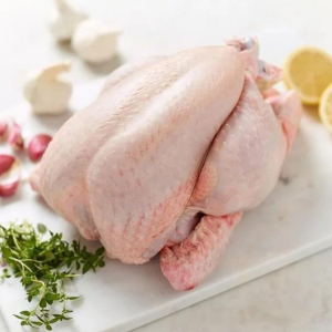 Manufacturer Premium Halal Certified 100% Fresh Frozen Whole Chicken