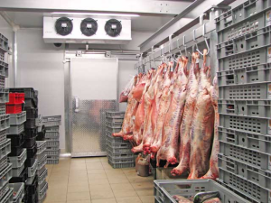 Meat and Pork Blast Freezer Chiller