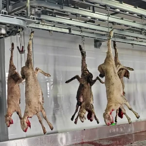 Medium Food Grade Halal Certified Lamb Slaughter Line Sheep Slaughtering Equipment Goat Slaughter Equipment for Slaughter Line