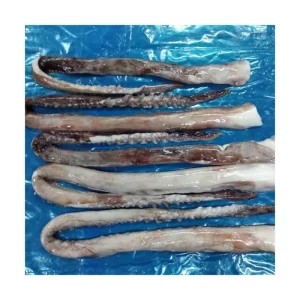 Mighty Tentacle Master Soft Giant Squid