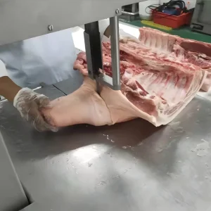 Modern Automatic Pig Slaughtering Line High Speed Hygienic Slaughterhouse Equipment