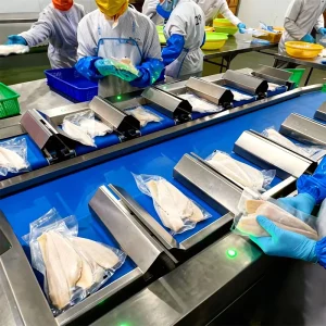 Multi Platform Batch Weigher Multihead Batch Weighing Combination Scales for Frozen Fish Fillet Salmon Portion Pangasius