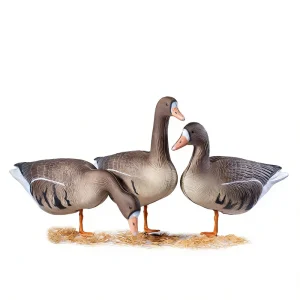 Multi Pose White Fronted Goose Decoy Set Outdoor Grassland Trapping 3D Texture Wild Goose Decoy