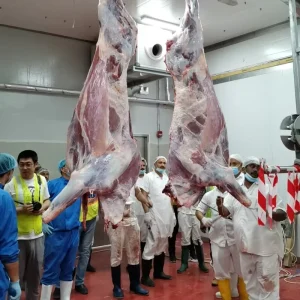 Multi Species Sheep Cattle Pig Slaughtering Equipment Slaughterhouse Turnkey Solution