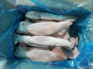 Natural Fat Fresh Frozen Clean Safe Illex Squid for Grilling