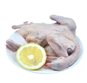 Natural Frozen Whole Duckbest Frozen Halal Frozen Duck for Sales