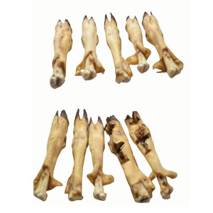 Natural Lamb Feet Chews for Dogs and Cats