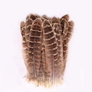 Natural Pheasant Feathers Raw Pattern Carnival Hat Wings for Crafts Sale