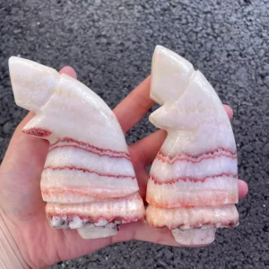 Natural Pork Stone Pig Trotters Healing Crystal Quartz Carvings for Fengshui Decoration