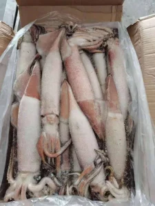 Natural Premium Japanese Squid for Convenient High Quality Logistics Solutions