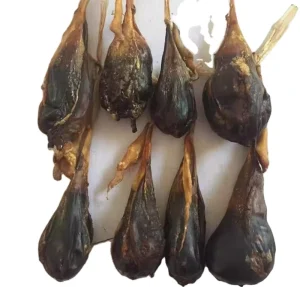 Nautral Whole Only Dried Raw Pig’s Gallbladder Pig Bile Pig Gall for Sale