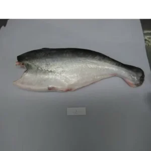 New Season Seafoods IQF Frozen Whole Pangasius Fillet HGT Fish With Size 500-800g Over 800g
