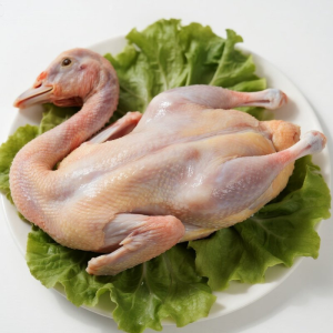New Trades Best Selling Frozen Duck Meat