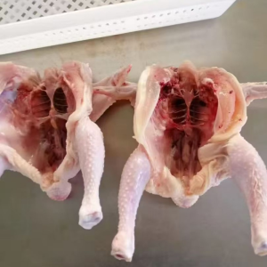 No Need to Wash Just It’s Ready to Use Frozen Whole Chicken