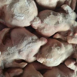 Nutritious and Delicious Chicken in a Suit Shaped Dish