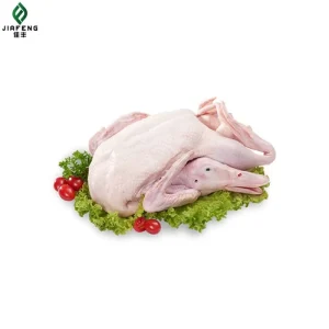 OEM High Quality Dog Treats Freeze Dried Meat Snacks Natural Duck Beef Rabbit Meat High Protein Cat Dog Treat