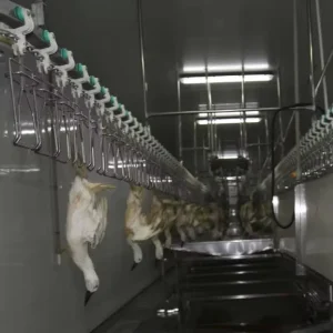 OEM ODM Fully Automatic Chicken Slaughtering Line for Large Processing Plants