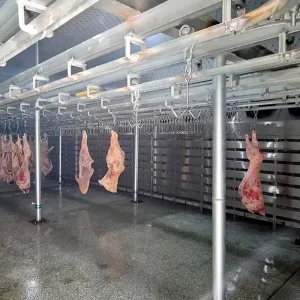 One Stop Slaughterhouse Cold Storage Solution for Beef Poultry and Lamb Processing