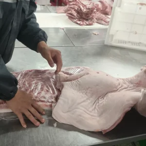 Organic Frozen Pork Meat Front and Hind Feet Body Grade Standard 10kg No Bad Smell