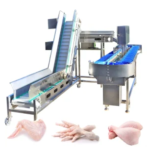 Oyster Grading Check Feet Automatic Vegetable Fruit Chicken By-Product Weight Sorting Machine