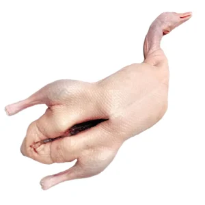 Peking Halal Fresh Duck Quality Assured Part Frozen Whole Duck for Global Distributors