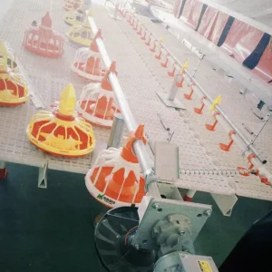 Poultry Automatic Feed Line System PP Feeder for Broiler Chicken