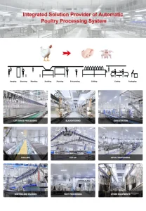 Poultry Slaughter Line Equipment Chicken Duck Carcass Automatic Weighing Machine
