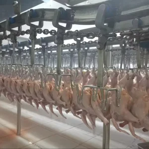 Poultry Slaughter Line Manufacturer Direct Factory Supply Custom Orders
