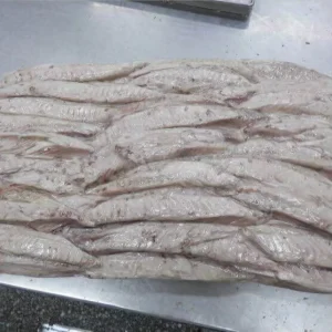 Precooked Frozen Yellowfin Bluefin Tuna From Maldives Boxed Canned Dried Preserved with Brine Variety Includes Skipjack Tuna