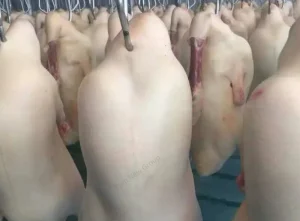 Premium Delicious Peking Duck Halal Certified