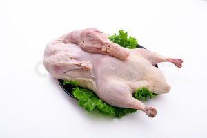 Premium Few Bones Much Meat No Fishy Smell Fresh Frozen Whole Duck