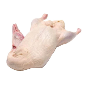 Premium Frozen Duck Meat for Culinary Delights and Gourmet Cooking