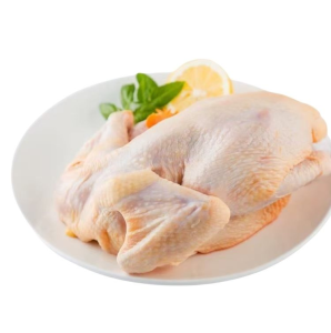 Premium Frozen Whole Chicken Available for Bulk Supply