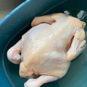 Premium Frozen Whole Chicken Body Top Grade Lqf Process 25kg Bulk Supply with Tender Meat